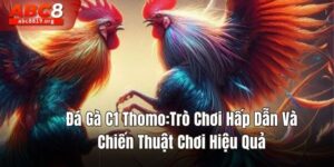 đá gà C1 Thomo