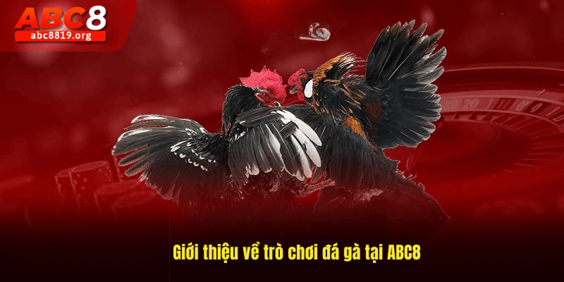 Giới thiệu về trò chơi đá gà tại ABC8