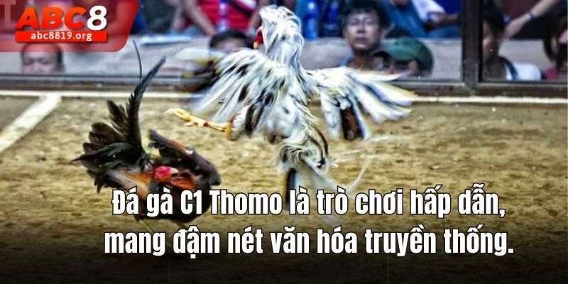 Đá gà C1 Thomo là trò chơi hấp dẫn, mang đậm nét văn hóa truyền thống.