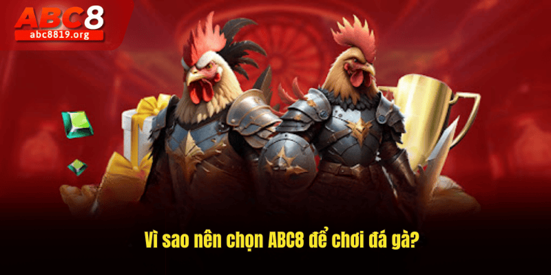 Vì sao nên chọn ABC8 để chơi đá gà?